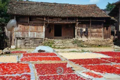 2024多彩贵州·第十七届中国原生态国际摄影大展展览 · 摄影大展官方客服 的图集