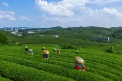 多彩贵州·第十四届中国原生态国际摄影大展 · 信念 的图集