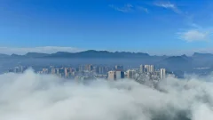 多彩贵州·第十四届中国原生态国际摄影大展 · 流浪枫叶 的图集