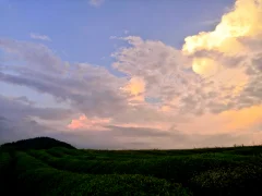 多彩贵州·第十四届中国原生态国际摄影大展 · 刘昱芊 的图集