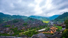 2025多彩贵州·第十八届中国原生态国际摄影大展 · 梧桐树 的图集