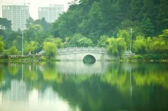 多彩贵州·第十四届中国原生态国际摄影大展 · 莫言 的图集