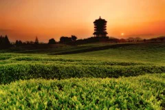 多彩贵州·第十四届中国原生态国际摄影大展 · 光头果果 的图集