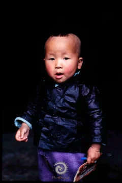 2024多彩贵州·第十七届中国原生态国际摄影大展展览 · 摄影大展官方客服 的图集