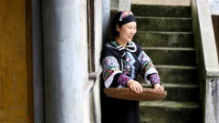 多彩贵州·第十四届中国原生态国际摄影大展 · 流浪枫叶 的图集