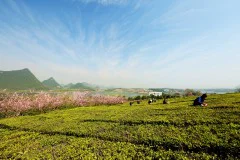 多彩贵州·第十四届中国原生态国际摄影大展 · 行摄天下 的图集