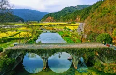 2023多彩贵州·第十六届中国原生态国际摄影大展 · 巴西铁 的图集