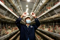 第十五届多彩贵州·中国原生态国际摄影大展 · 摄影大展官方客服 的图集