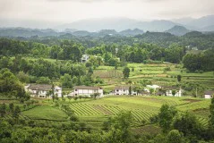 多彩贵州·第十四届中国原生态国际摄影大展 · 秋 的图集