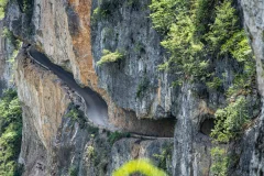 2023多彩贵州·第十六届中国原生态国际摄影大展 · 千里眼 的图集