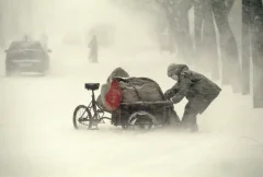《雪野》