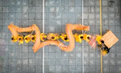 ​2024多彩贵州·第十七届中国原生态国际摄影大展 · 我看行 的图集