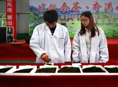 多彩贵州·第十四届中国原生态国际摄影大展 · hujibin 的图集