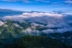 2025多彩贵州·第十八届中国原生态国际摄影大展 · 沙漠狼 的图集