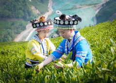 多彩贵州·第十四届中国原生态国际摄影大展 · 周红光 的图集