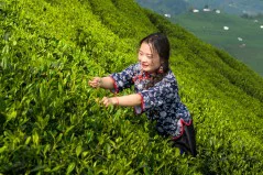 多彩贵州·第十四届中国原生态国际摄影大展 · 周红光 的图集