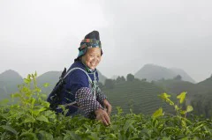 多彩贵州·第十四届中国原生态国际摄影大展 · 七星漂 的图集