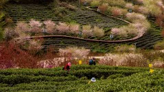 多彩贵州·第十四届中国原生态国际摄影大展 · 方圆 的图集