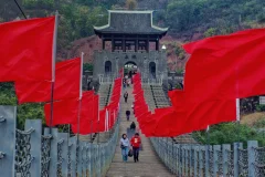 2023多彩贵州·第十六届中国原生态国际摄影大展 · 巴西铁 的图集