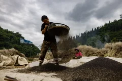 2025多彩贵州·第十八届中国原生态国际摄影大展 · 胖子 的图集
