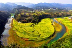 多彩贵州·第十四届中国原生态国际摄影大展 · 罗逸 的图集