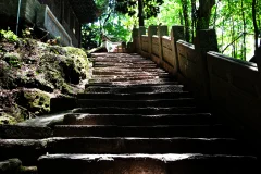 2025多彩贵州·第十八届中国原生态国际摄影大展 · 朱进 的图集