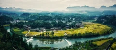多彩贵州·第十四届中国原生态国际摄影大展 · 高山一棵松 的图集
