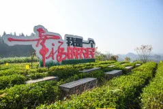 多彩贵州·第十四届中国原生态国际摄影大展 · 傅彧 的图集