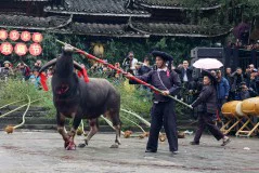 多彩贵州·第十四届中国原生态国际摄影大展 · 郑波 的图集