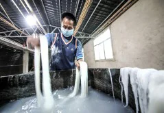 多彩贵州·第十四届中国原生态国际摄影大展 · 大圣归来玩摄影 的图集