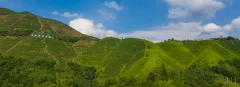 多彩贵州·第十四届中国原生态国际摄影大展 · 海阔天高 的图集