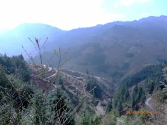 2025多彩贵州·第十八届中国原生态国际摄影大展 · 乐天 的图集