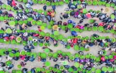 多彩贵州·第十四届中国原生态国际摄影大展 · 宏观世界 的图集