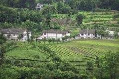 多彩贵州·第十四届中国原生态国际摄影大展 · 秋 的图集