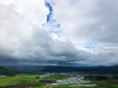多彩贵州·第十四届中国原生态国际摄影大展 · 鞠 的图集