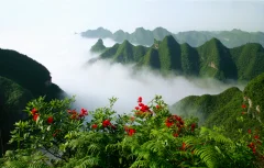 多彩贵州·第十四届中国原生态国际摄影大展 · 山雨欲来 的图集