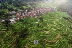 2024多彩贵州·第十七届中国原生态国际摄影大展展览 · 摄影大展官方客服 的图集