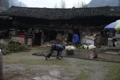 《贵州身残志坚养牛倌创业逐梦》