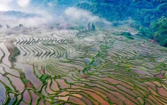 多彩贵州·第十四届中国原生态国际摄影大展 · 普照山 的图集
