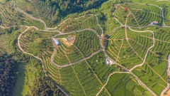 多彩贵州·第十四届中国原生态国际摄影大展 · 海阔天高 的图集
