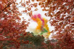 多彩贵州·第十四届中国原生态国际摄影大展 · 朱进 的图集