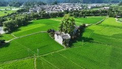 2025多彩贵州·第十八届中国原生态国际摄影大展 · 杨晓海 的图集
