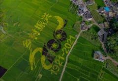 多彩贵州·第十四届中国原生态国际摄影大展 · 木北 的图集