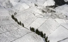 多彩贵州·第十四届中国原生态国际摄影大展 · 鸟瞰家乡 的图集