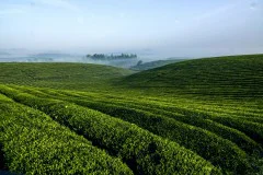 多彩贵州·第十四届中国原生态国际摄影大展 · 周访华 的图集