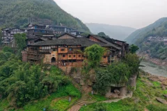 2025多彩贵州·第十八届中国原生态国际摄影大展 · 巴西铁 的图集