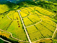 多彩贵州·第十四届中国原生态国际摄影大展 · 刘德权 的图集
