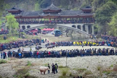 2023多彩贵州·第十六届中国原生态国际摄影大展 · 农夫 的图集
