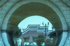 多彩贵州·第十四届中国原生态国际摄影大展 · 花之冠 的图集