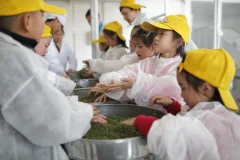 多彩贵州·第十四届中国原生态国际摄影大展 · 7戒 的图集